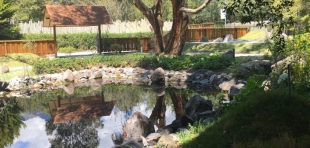 Imagen Jardín Botánico 